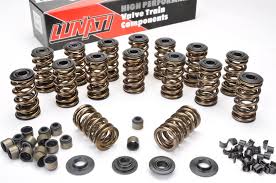 Lunati Voodoo Valve Spring and Retainer Kits 73925K1